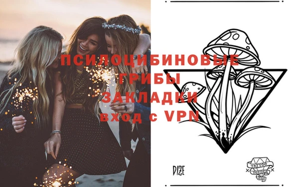 винт Алексеевка