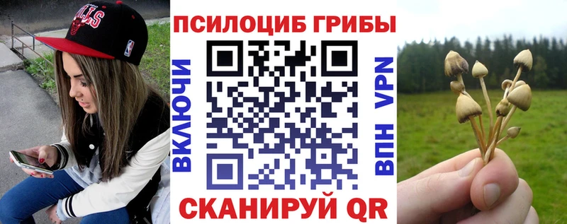 Псилоцибиновые грибы Cubensis  наркота  Хотьково 